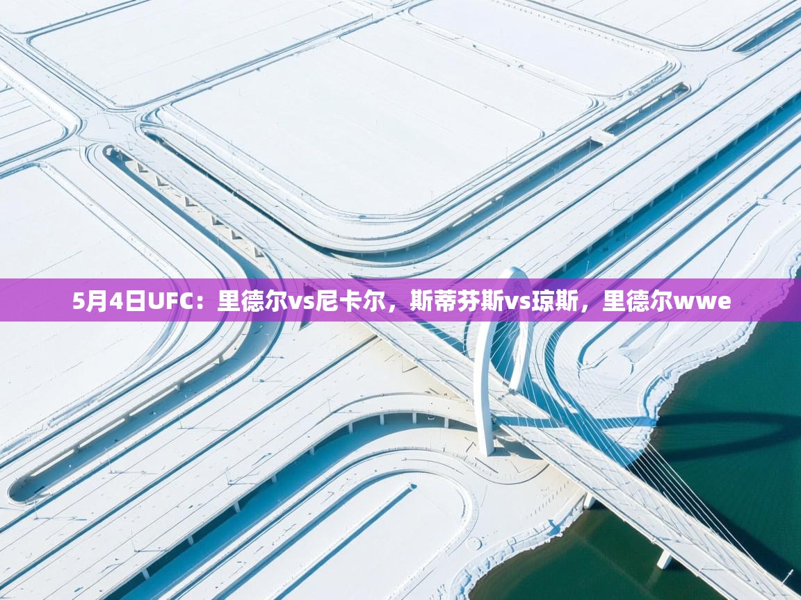 5月4日UFC:里德尔vs尼卡尔,斯蒂芬斯vs琼斯,里德尔wwe 第2张