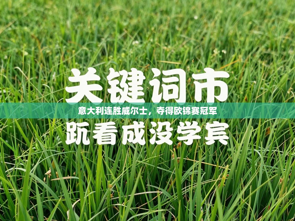 意大利连胜威尔士,夺得欧锦赛冠军 第2张