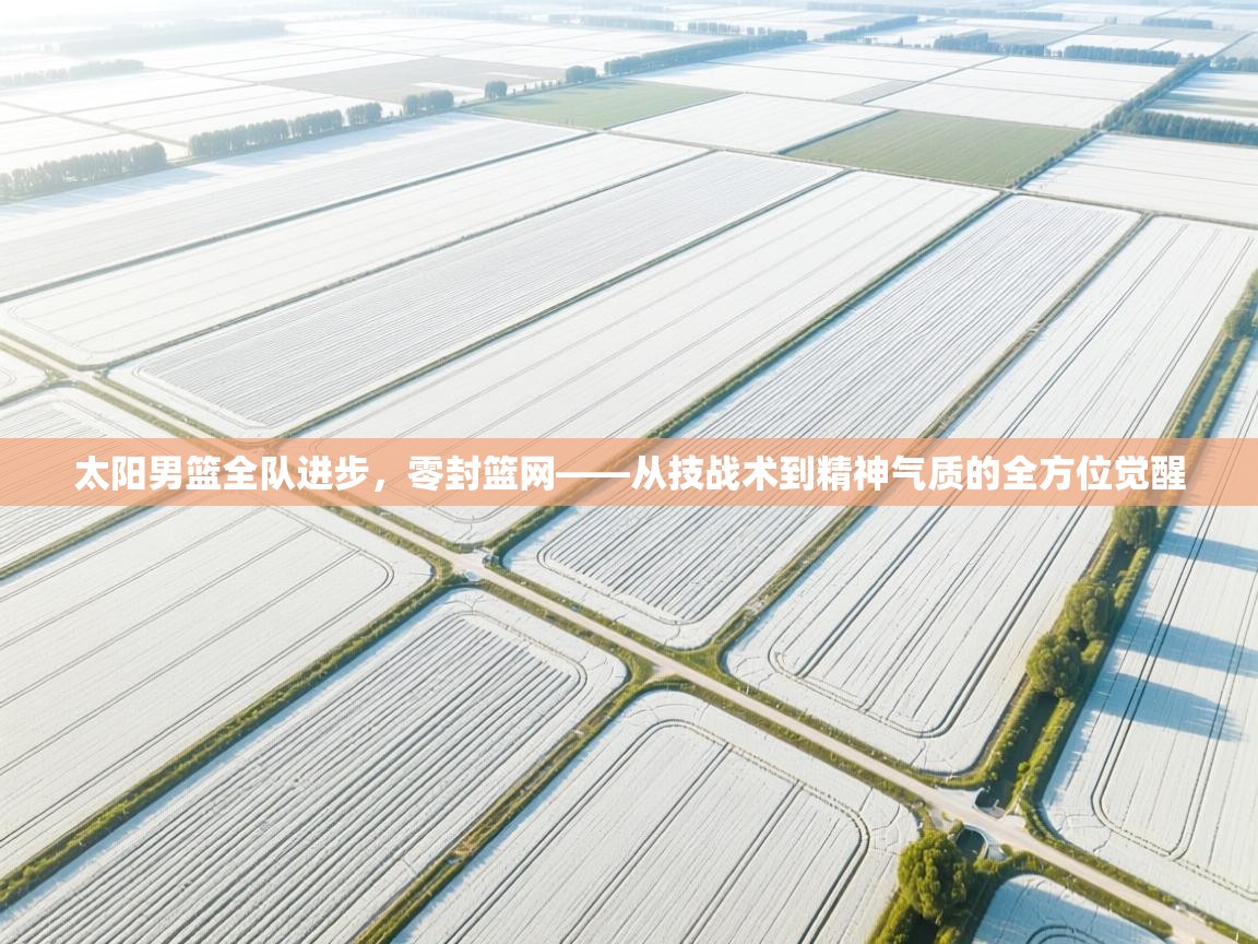 太阳男篮全队进步，零封篮网——从技战术到精神气质的全方位觉醒  第1张