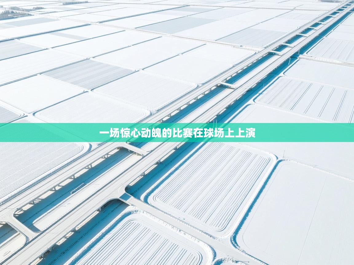 一场惊心动魄的比赛在球场上上演 第2张