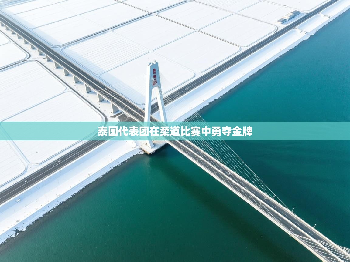 泰国代表团在柔道比赛中勇夺金牌 第2张